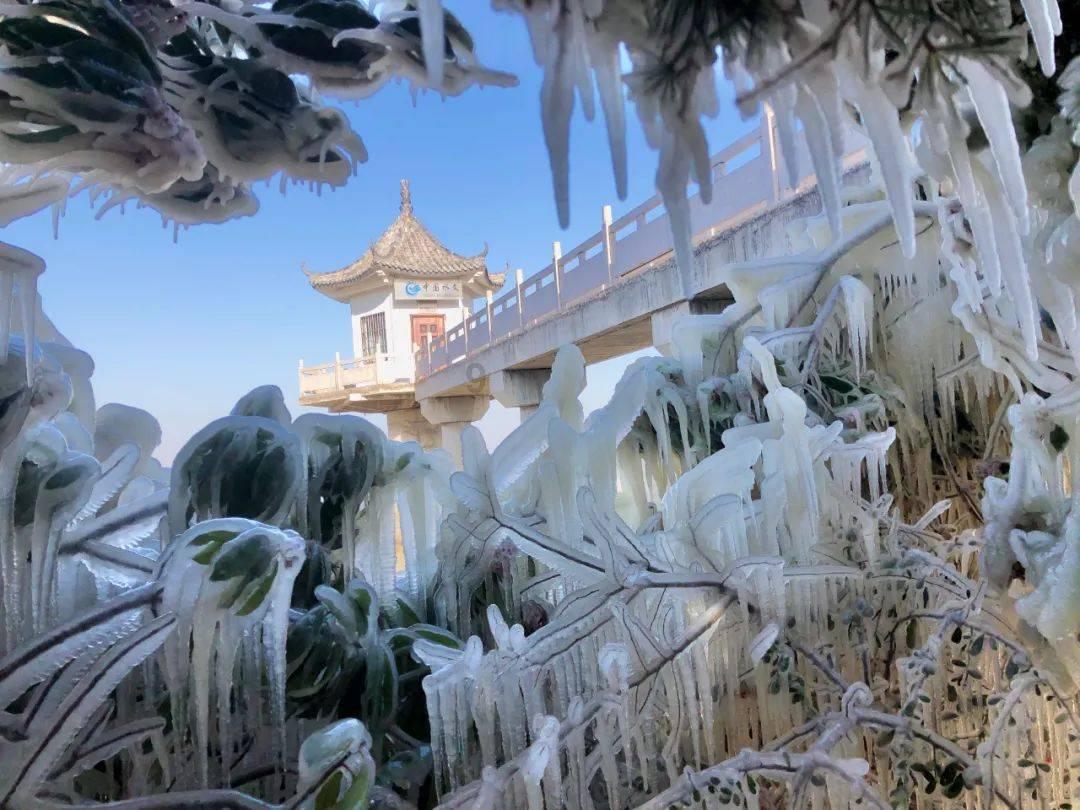 《繁花》:看懂雪芝的死亡时间,才明白阿宝为什么拼命搞死强慕杰